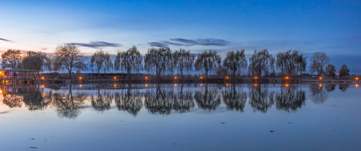 RIParty Caramagna Piemonte 2024 - Foto 7