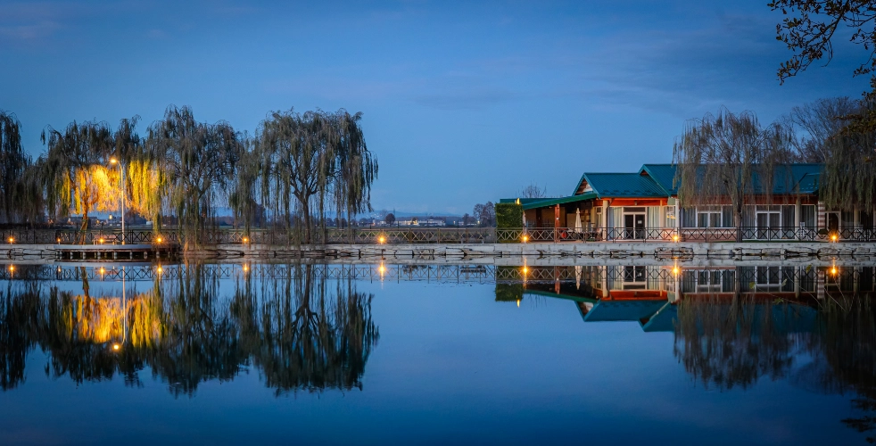 RIParty Caramagna Piemonte 2024 - Foto 8