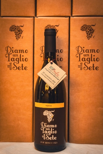 RIParty Caramagna Piemonte 2024 - Foto 17