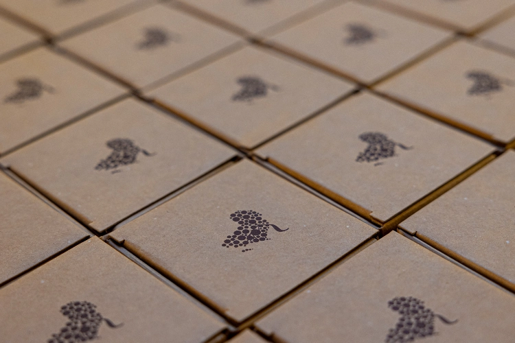 RIParty Caramagna Piemonte 2024 - Foto 34