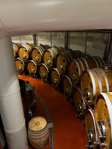 RIParty Fossombrone 2024 - Foto 19