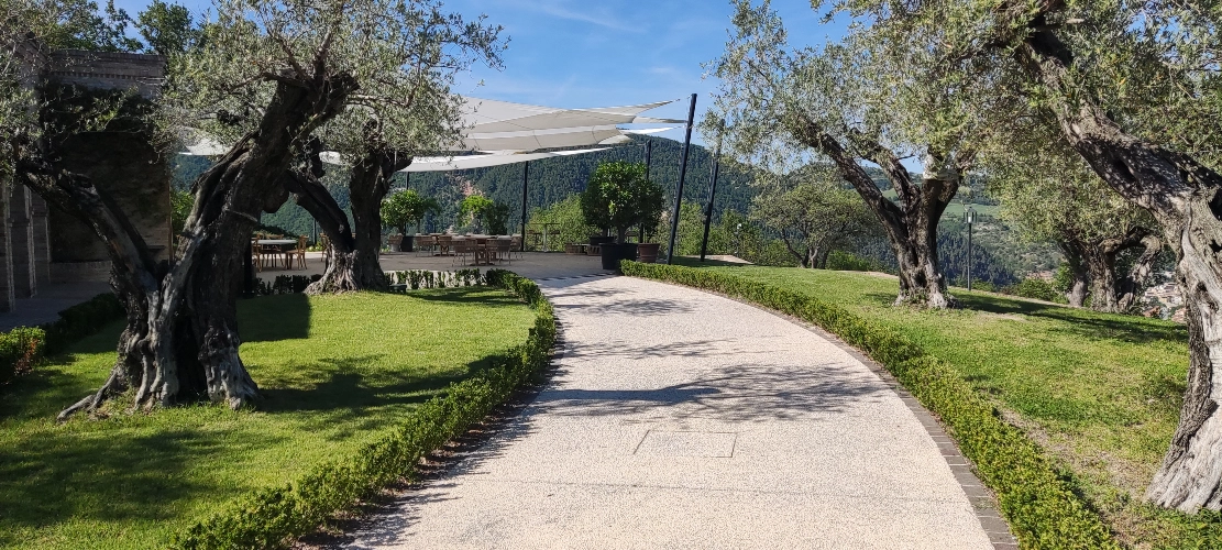 RIParty Fossombrone 2024 - Foto 21