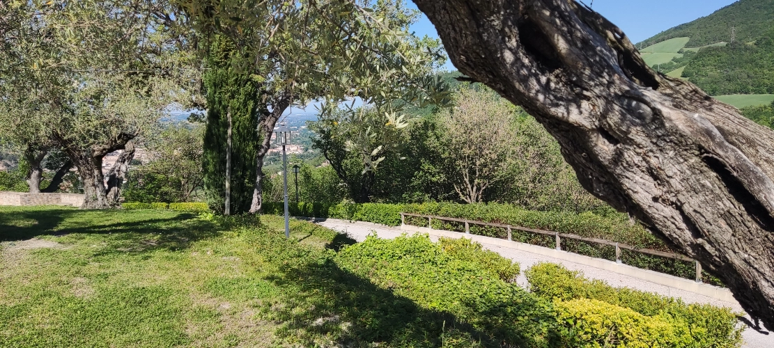 RIParty Fossombrone 2024 - Foto 22