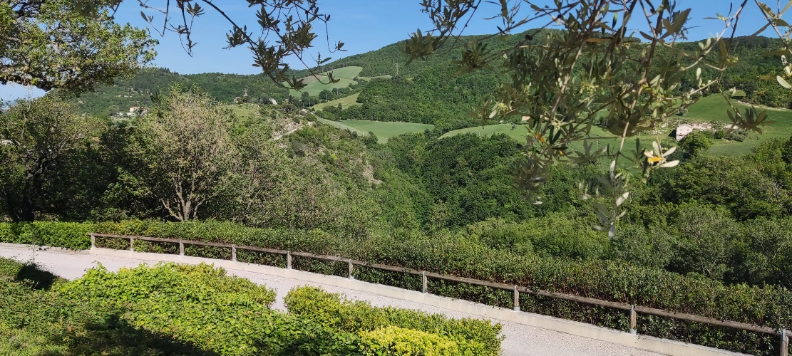 RIParty Fossombrone 2024 - Foto 23