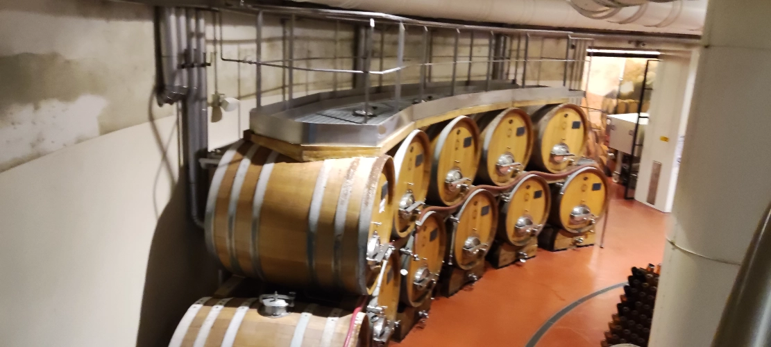 RIParty Fossombrone 2024 - Foto 28