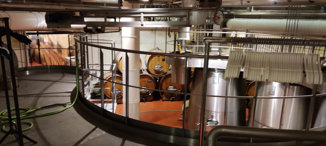 RIParty Fossombrone 2024 - Foto 29