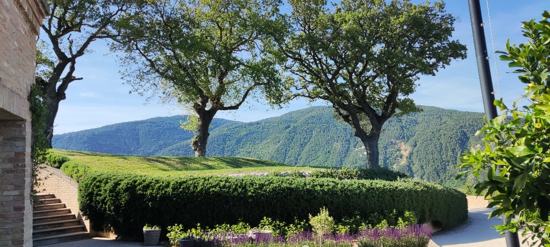 RIParty Fossombrone 2024 - Foto 38