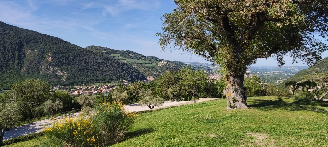 RIParty Fossombrone 2024 - Foto 39