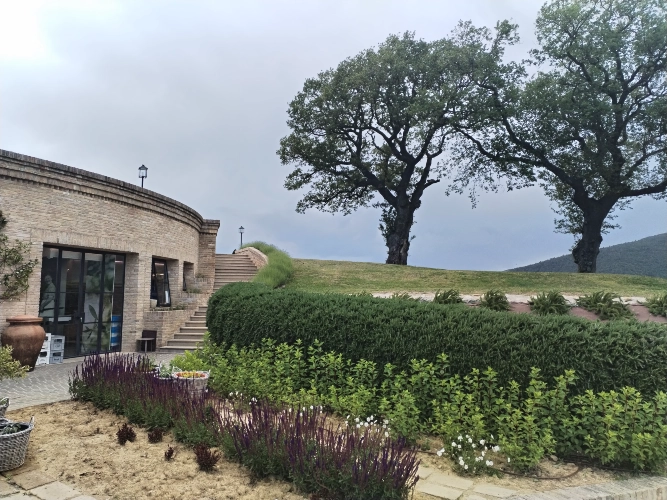 RIParty Fossombrone 2024 - Foto 48