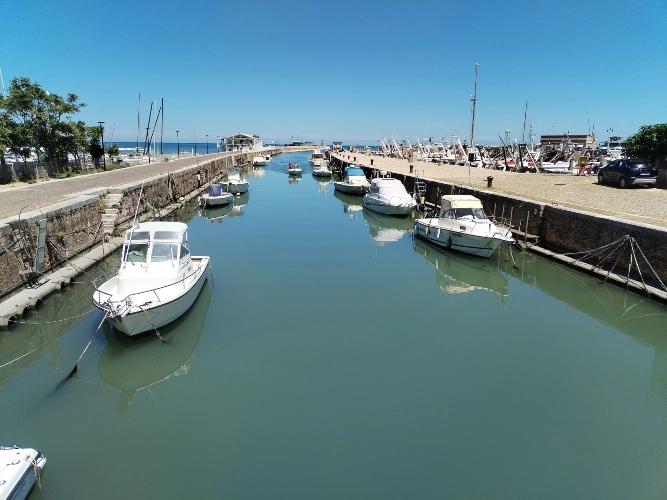 RIParty Fossombrone 2024 - Foto 49