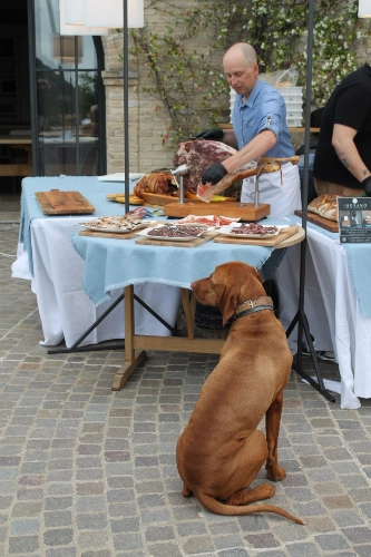 RIParty Fossombrone 2024 - Foto 56