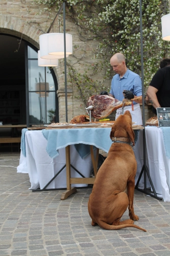 RIParty Fossombrone 2024 - Foto 57