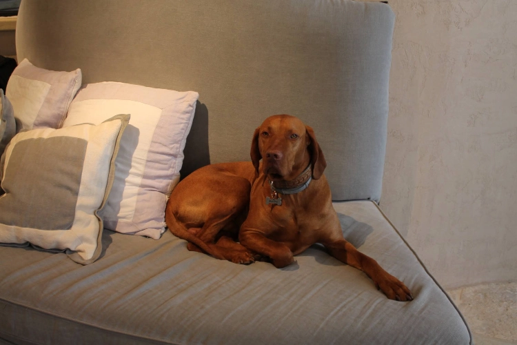 RIParty Fossombrone 2024 - Foto 66