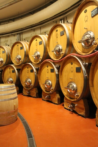 RIParty Fossombrone 2024 - Foto 73