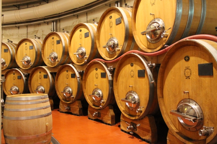 RIParty Fossombrone 2024 - Foto 74