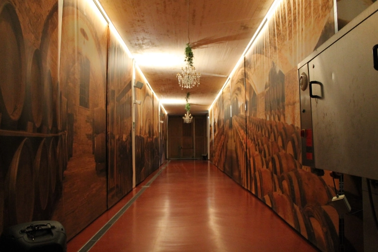 RIParty Fossombrone 2024 - Foto 87