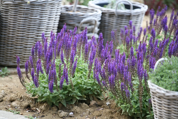 RIParty Fossombrone 2024 - Foto 100