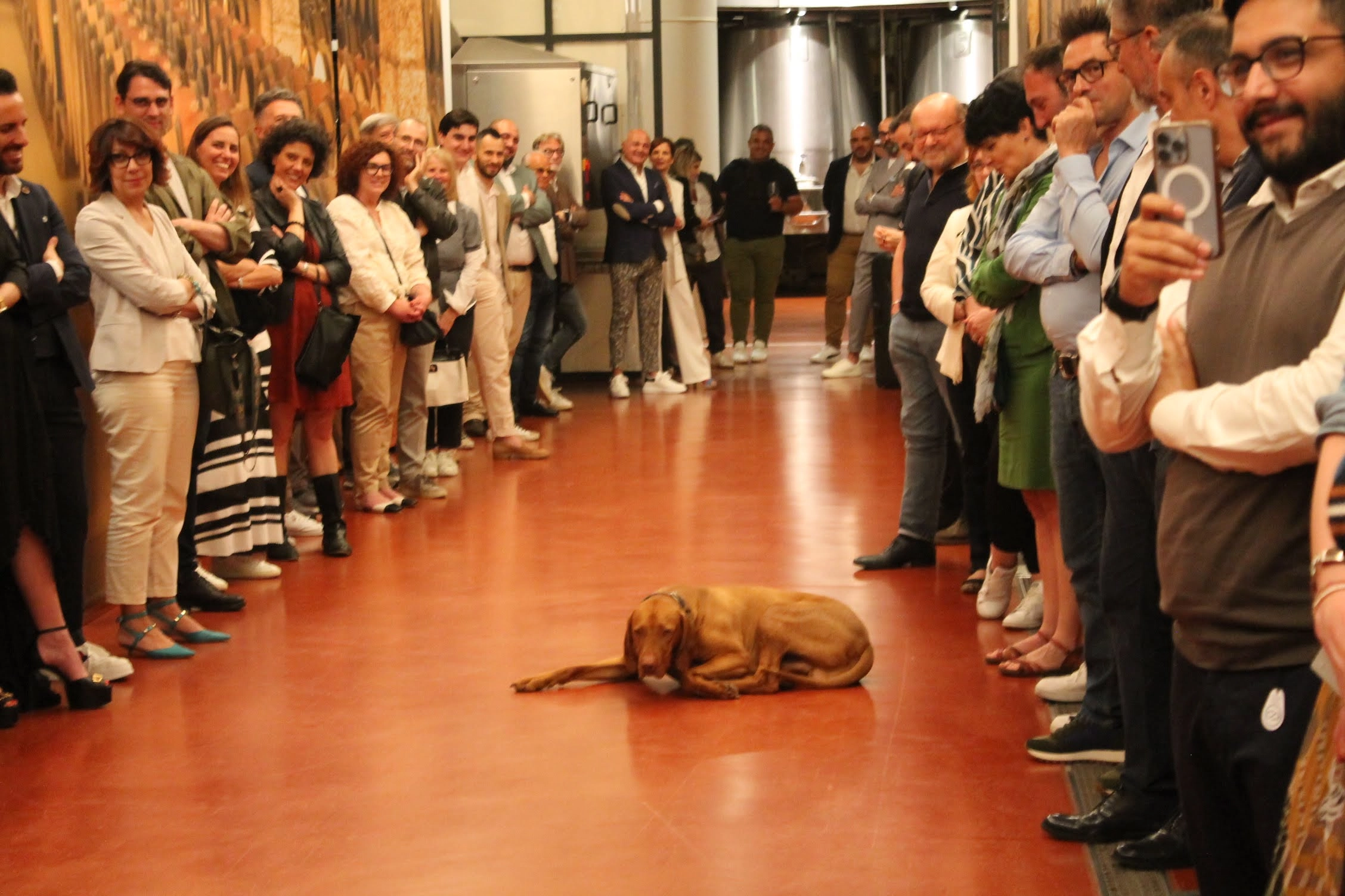 RIParty Fossombrone 2024 - Foto 129