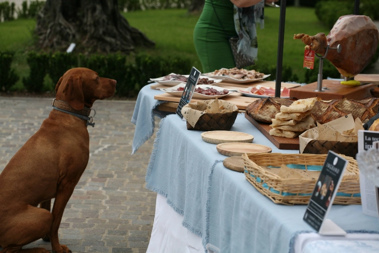 RIParty Fossombrone 2024 - Foto 135