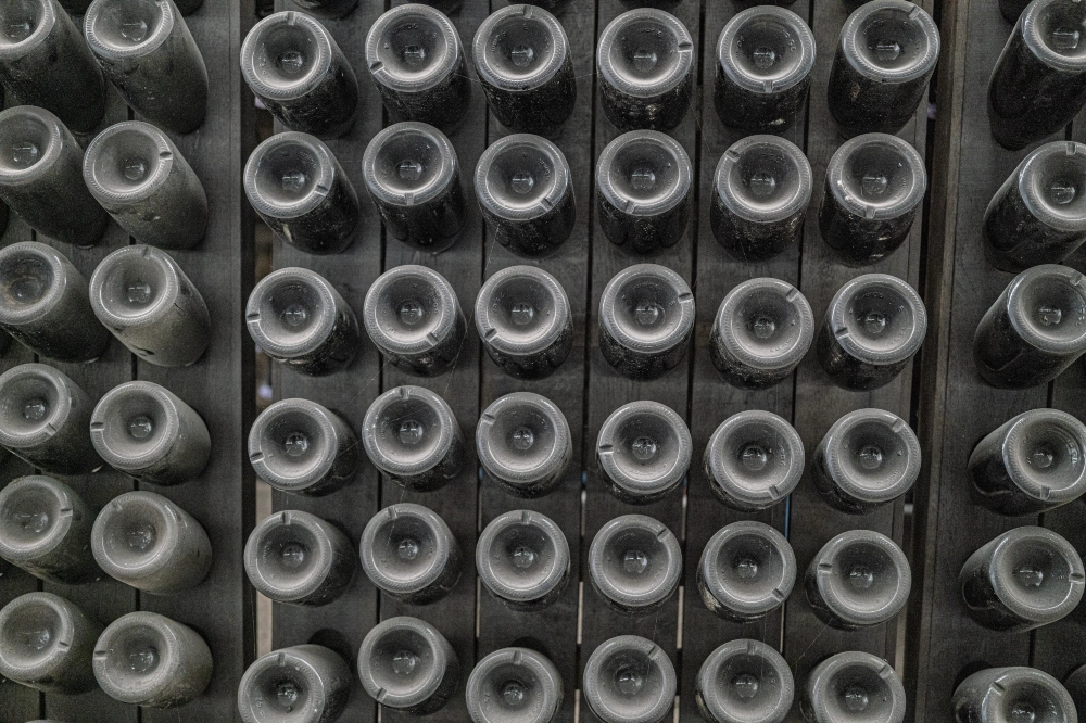 RIParty Franciacorta 2026 - Foto 23