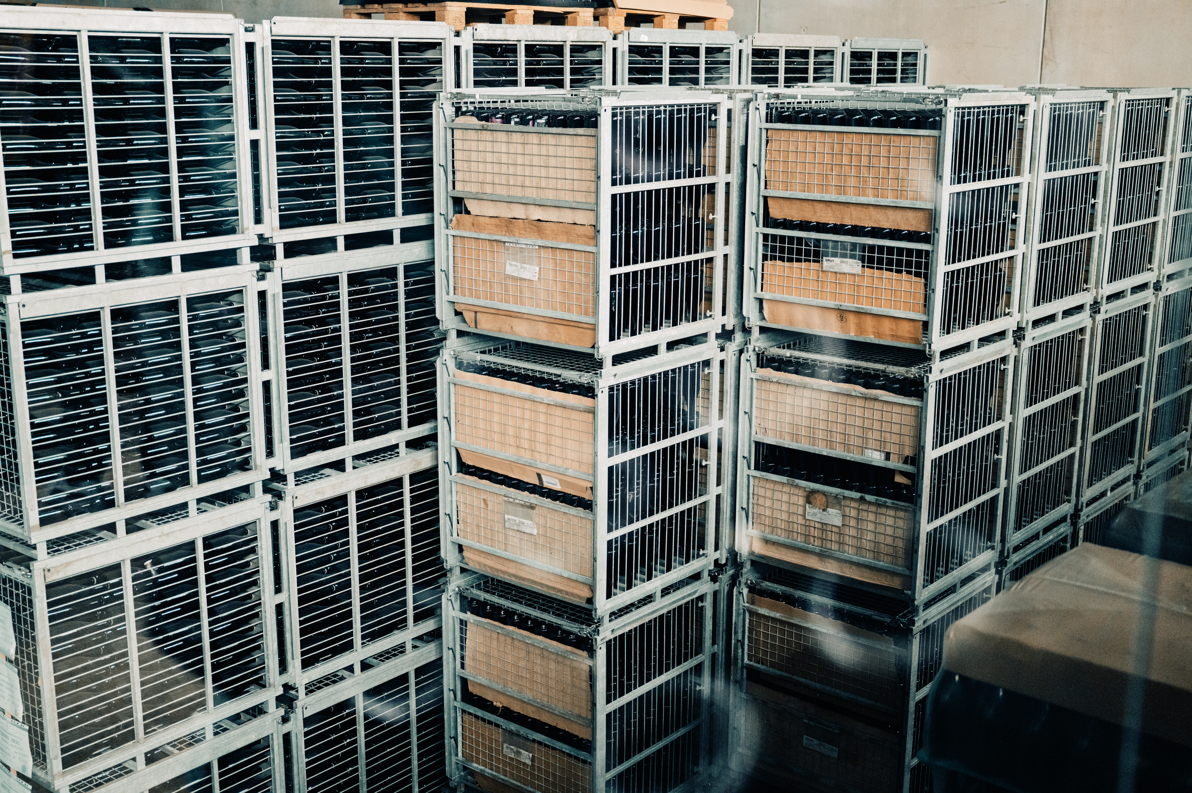 RIParty Franciacorta 2026 - Foto 54