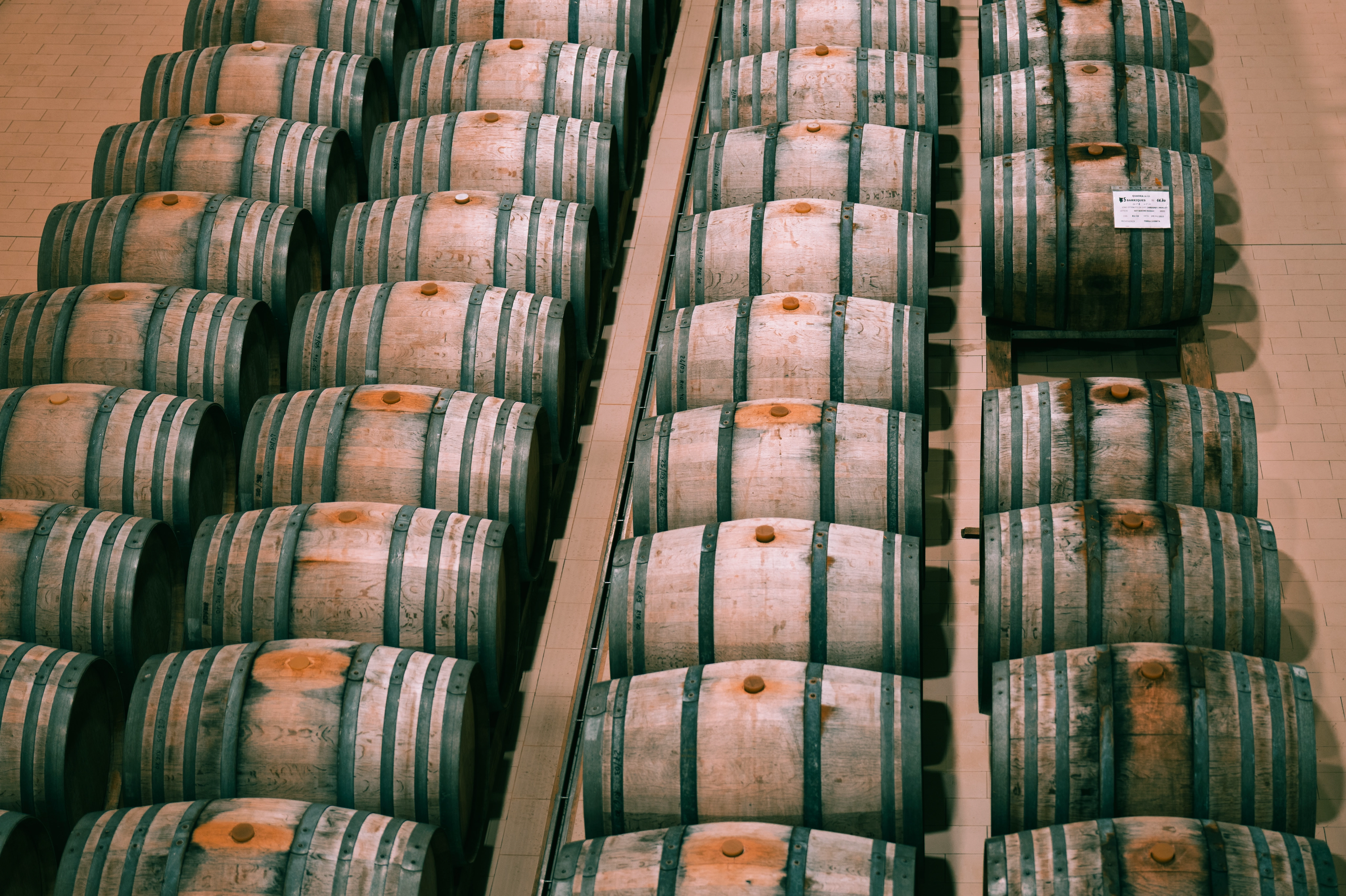 RIParty Franciacorta 2026 - Foto 55