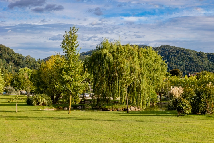 RIParty Nimis 2024 - Foto 1