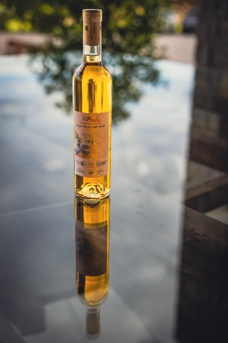 RIParty Nimis 2024 - Foto 9