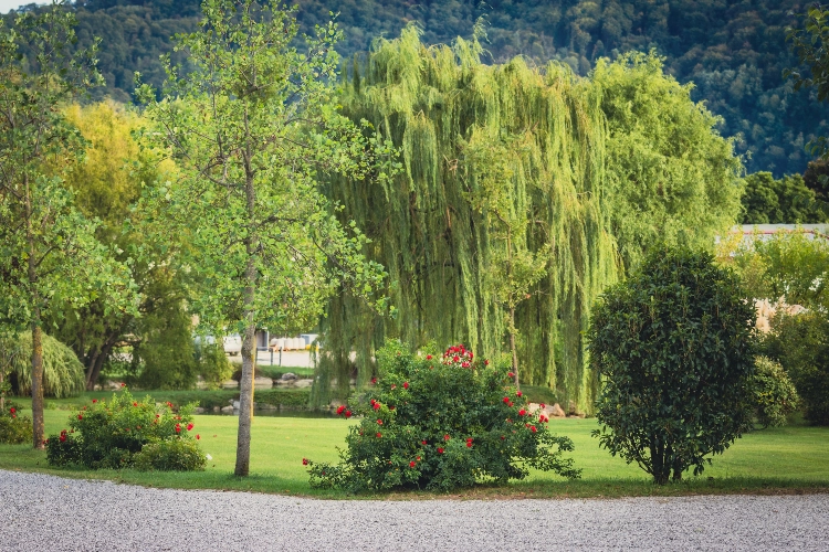 RIParty Nimis 2024 - Foto 15