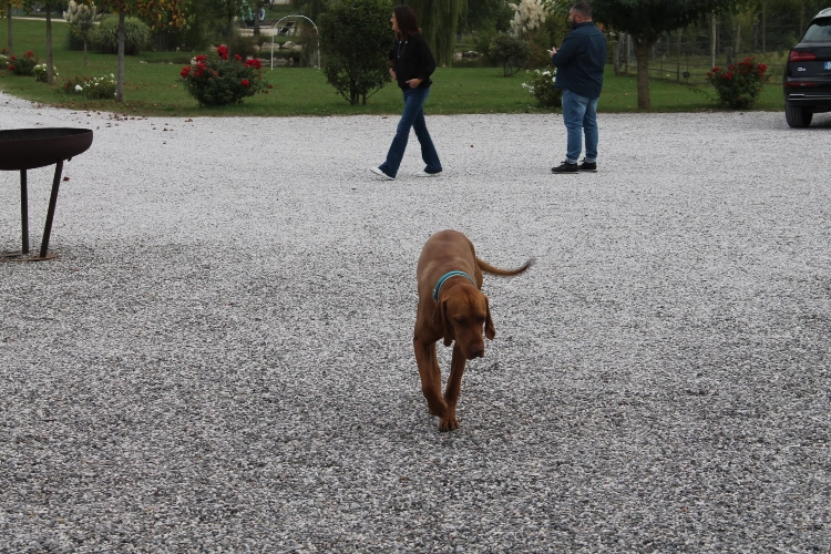 RIParty Nimis 2021 - Foto 55