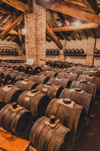 RIParty Sorbara 2024 - Foto 67