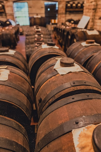 RIParty Sorbara 2024 - Foto 69