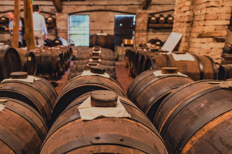 RIParty Sorbara 2024 - Foto 70