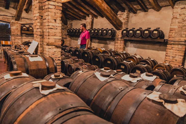 RIParty Sorbara 2024 - Foto 73