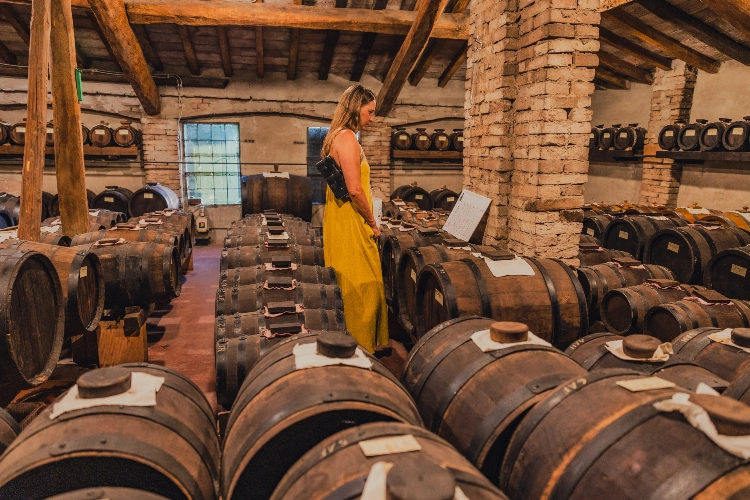 RIParty Sorbara 2024 - Foto 77