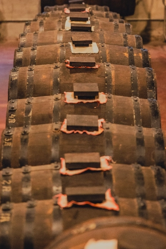 RIParty Sorbara 2024 - Foto 78