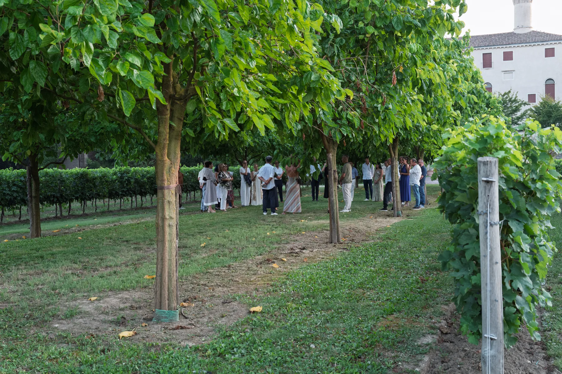 RIParty Veneto 2026 - Foto 98
